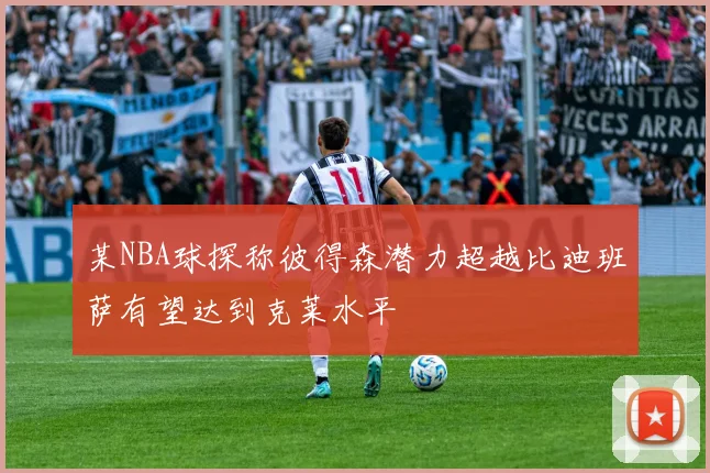 某NBA球探称彼得森潜力超越比迪班萨有望达到克莱水平